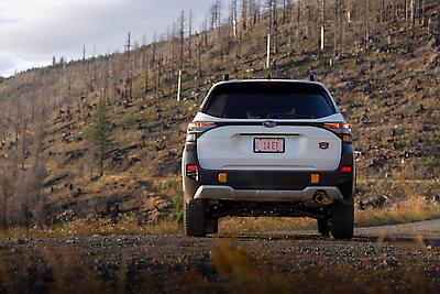 2026 Subaru Forester Wilderness&nbsp;