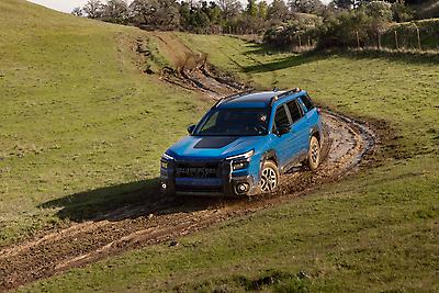 2026 Subaru Outback Wilderness