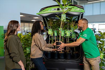 Subaru of America and the Arbor Day Foundation tree donation distribution events will take place throughout the regional 2026 planting season. Customers can find a participating retailer and reserve a tree on a first-come, first-served basis, at&nbsp;https://www.arborday.org/subaru-directory