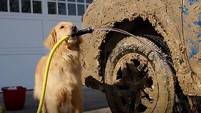 Subaru of America has unveiled its new “Dog Tested. Dog Approved.” campaign, with the beloved Barkley family of dogs behind the wheel of Subaru’s latest vehicles, navigating everyday adventures. In “Handwash,” the Barkleys wash mud off their rugged all-new, completely redesigned 2026 Subaru Outback Wilderness, but a mischievous pigeon has other plans.