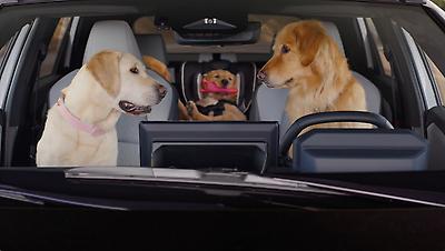 Subaru of America has unveiled its new “Dog Tested. Dog Approved.” campaign, with the beloved Barkley family of dogs behind the wheel of Subaru’s latest vehicles, navigating everyday adventures. In “Squeak,” during an otherwise peaceful drive in their redesigned 2026 Subaru Solterra EV, baby Barkley breaks the silence from the backseat.