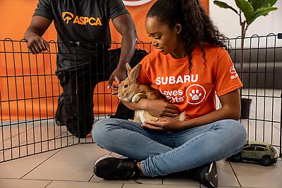 Forbes&rsquo; fourth annual Best Brands for Social Impact list was created in partnership with HundredX and acknowledges companies like Subaru that consumers feel are the most dedicated to giving back to their communities by evaluating ratings in survey categories including Overall Brand Values and Trust, Social Stances, Sustainability, and Community Support.