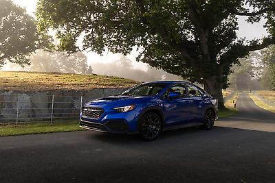 2026 Subaru WRX - Festival Of Speed
