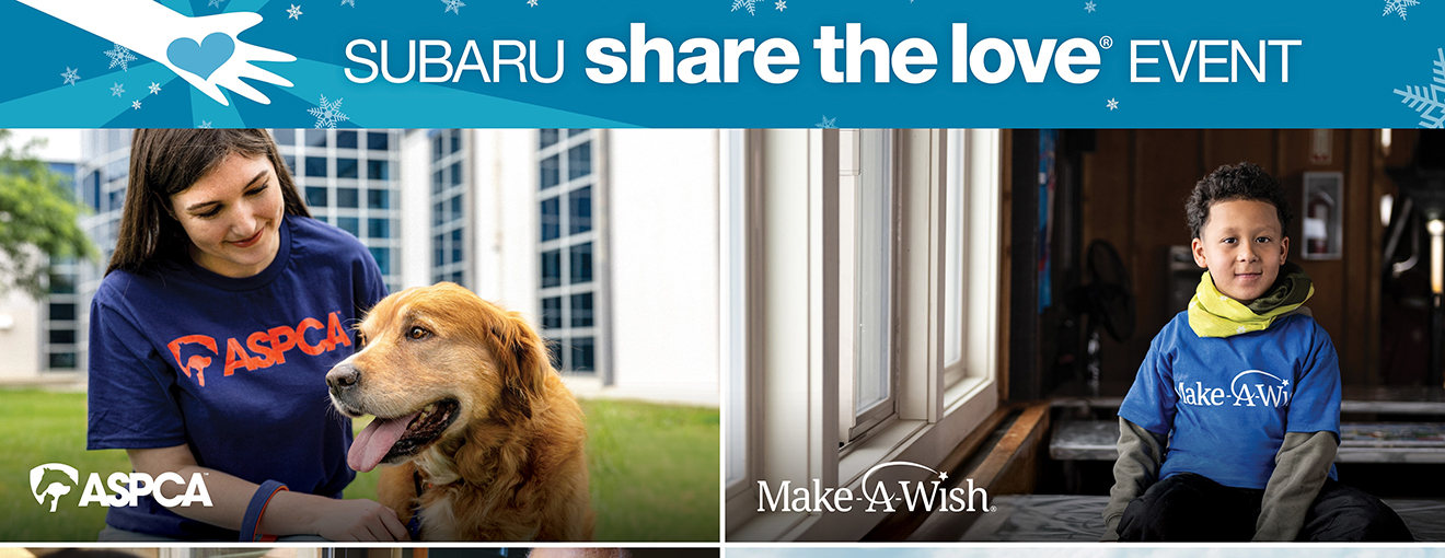 Image com.icon.model.BinaryFile(47568,TEASER2025_Charity_Compilation_Image.jpg)