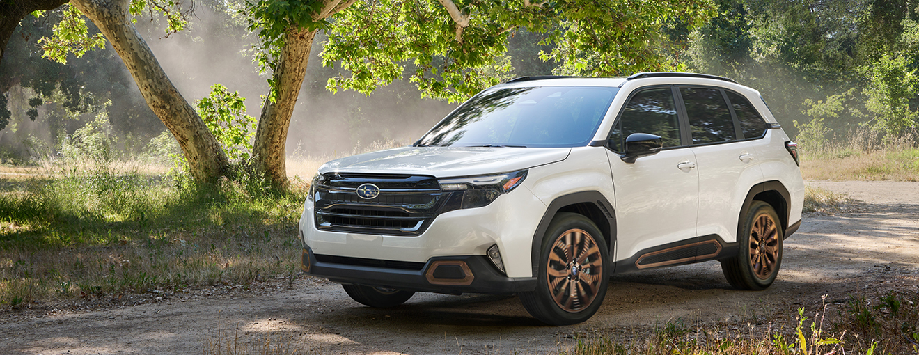 Image com.icon.model.BinaryFile(48783,TEASERForester_CRTOP10.jpg)