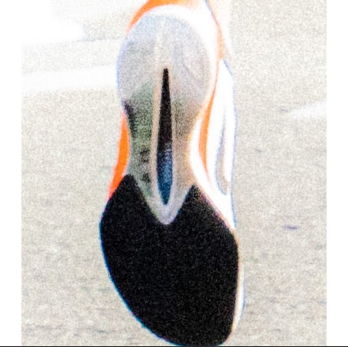 Preview of 398669a40184-jpeg