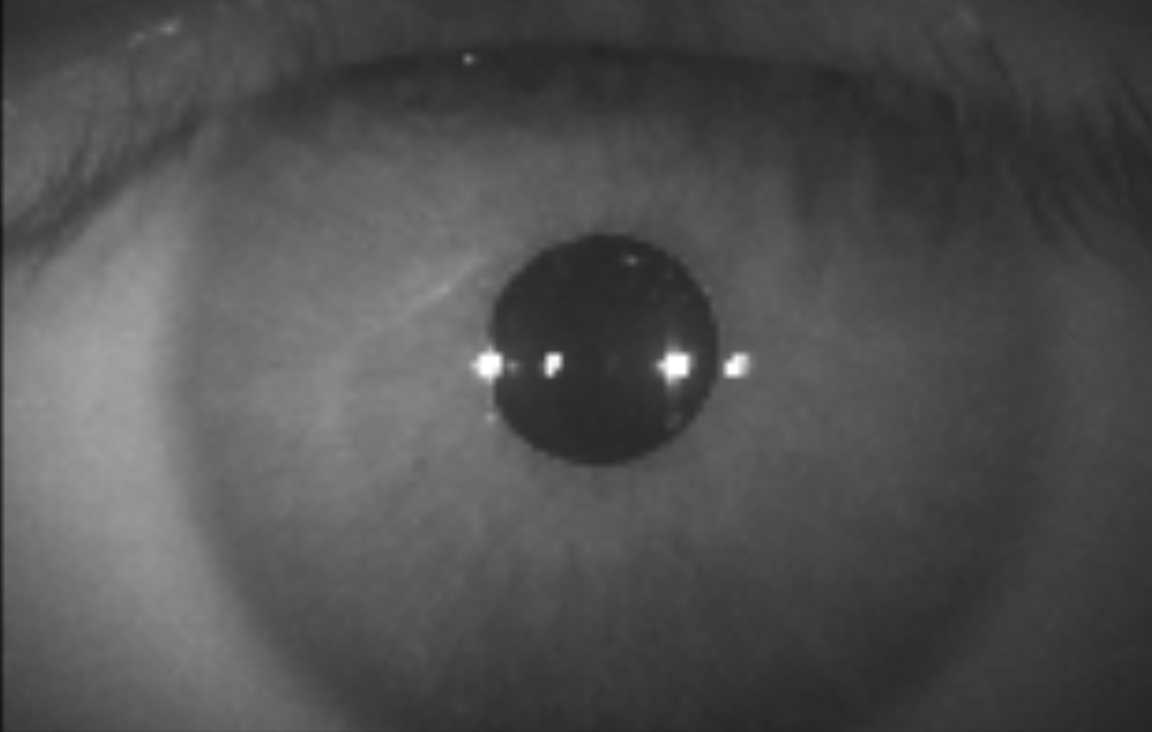 Preview of 31e64722-png
