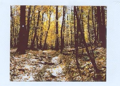 Thumbnail of Overlooked Tendernesses