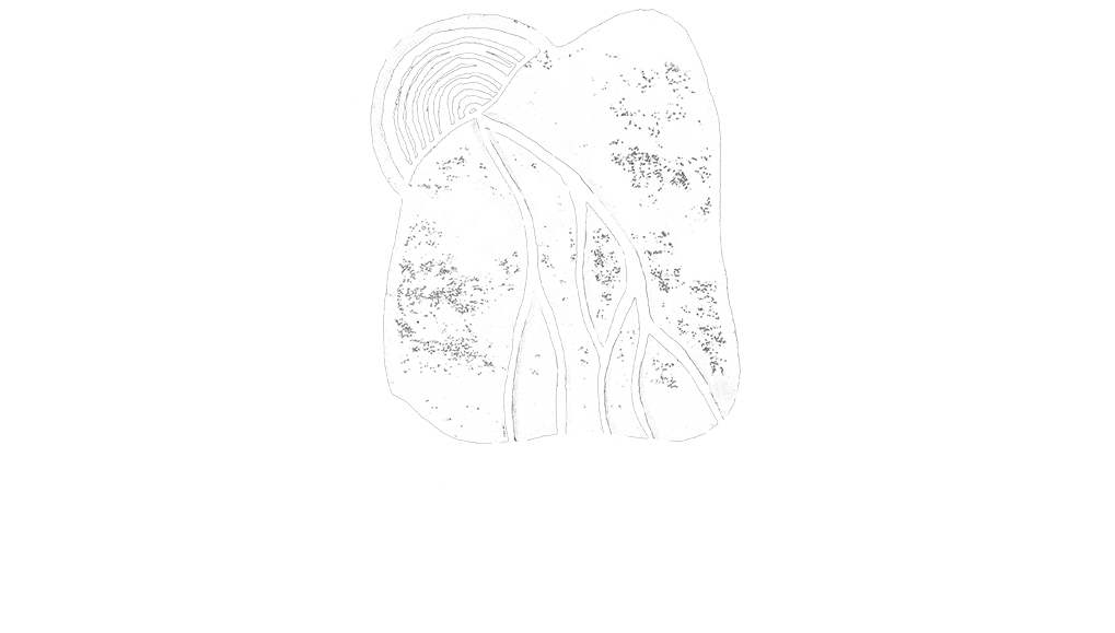 Thumbnail of ROOTED HEALING