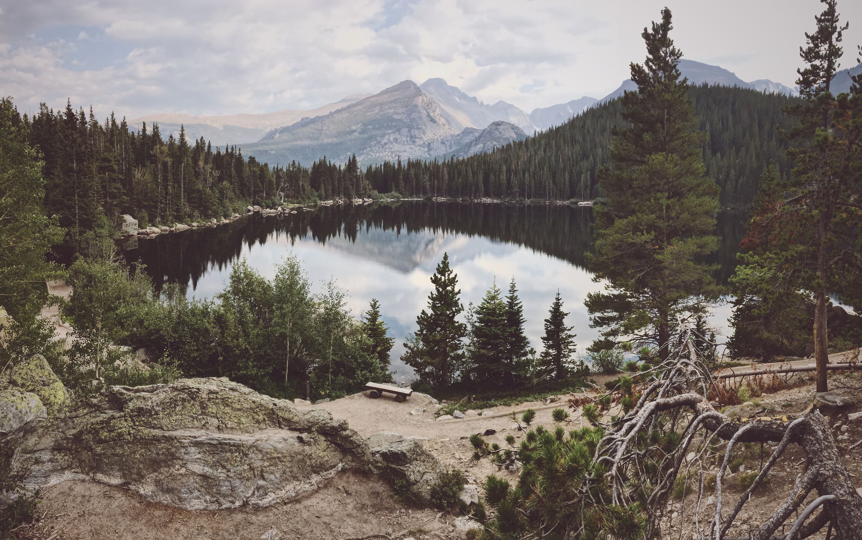 Preview of unsplash-jpg-11cec9ef191145d3
