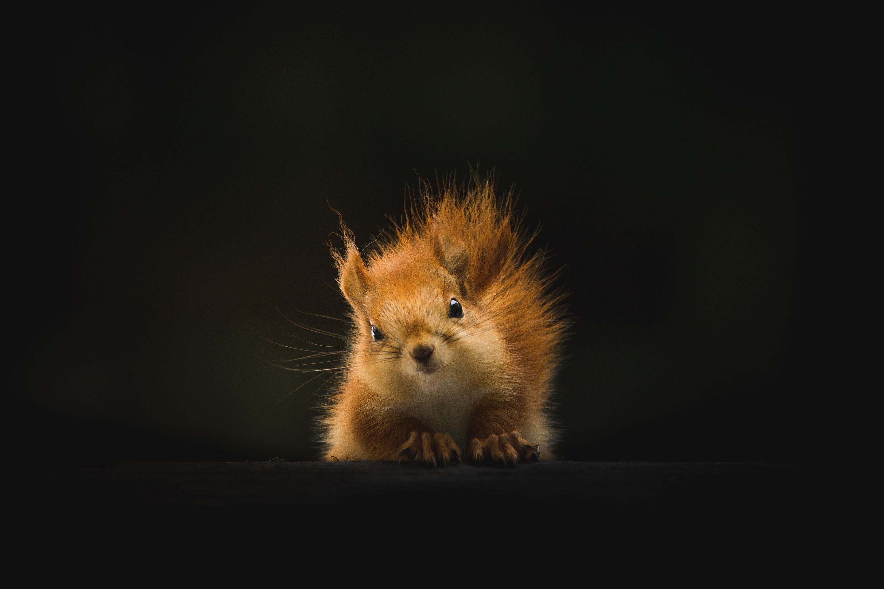 Preview of unsplash-jpg-8bb3