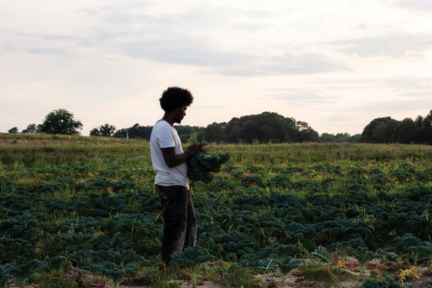 Thumbnail of Black Earth — THE BITTER SOUTHERNER