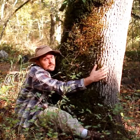 Thumbnail of Four Rest Films