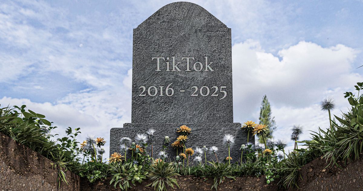 Thumbnail of Let TikTok Die!