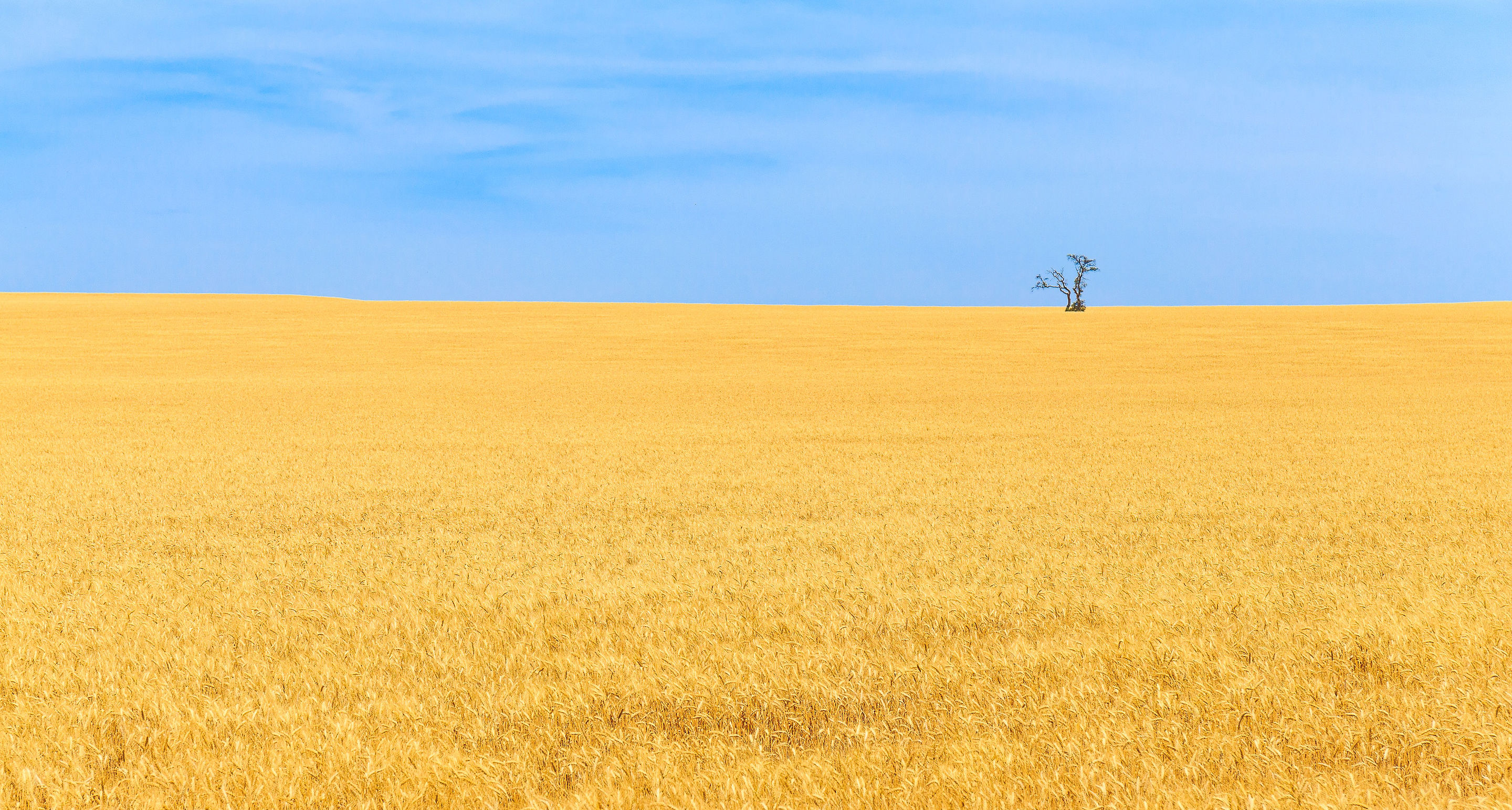 Preview of unsplash-jpg-c7720425f11a4ddb