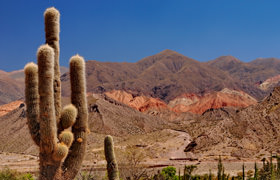 viajes a salta