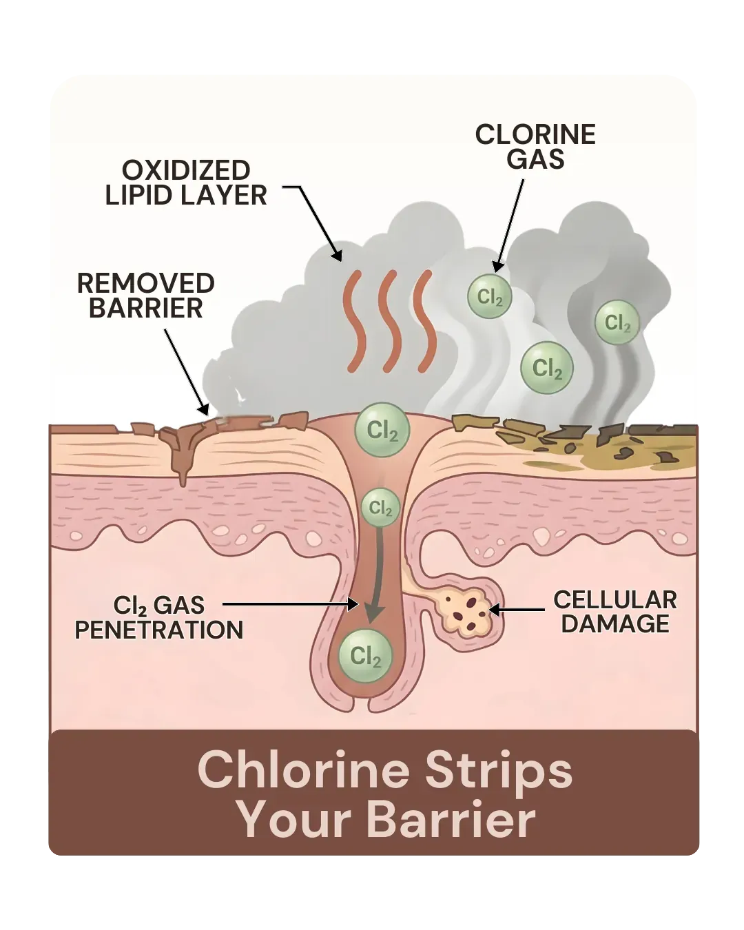 8x more chlorine