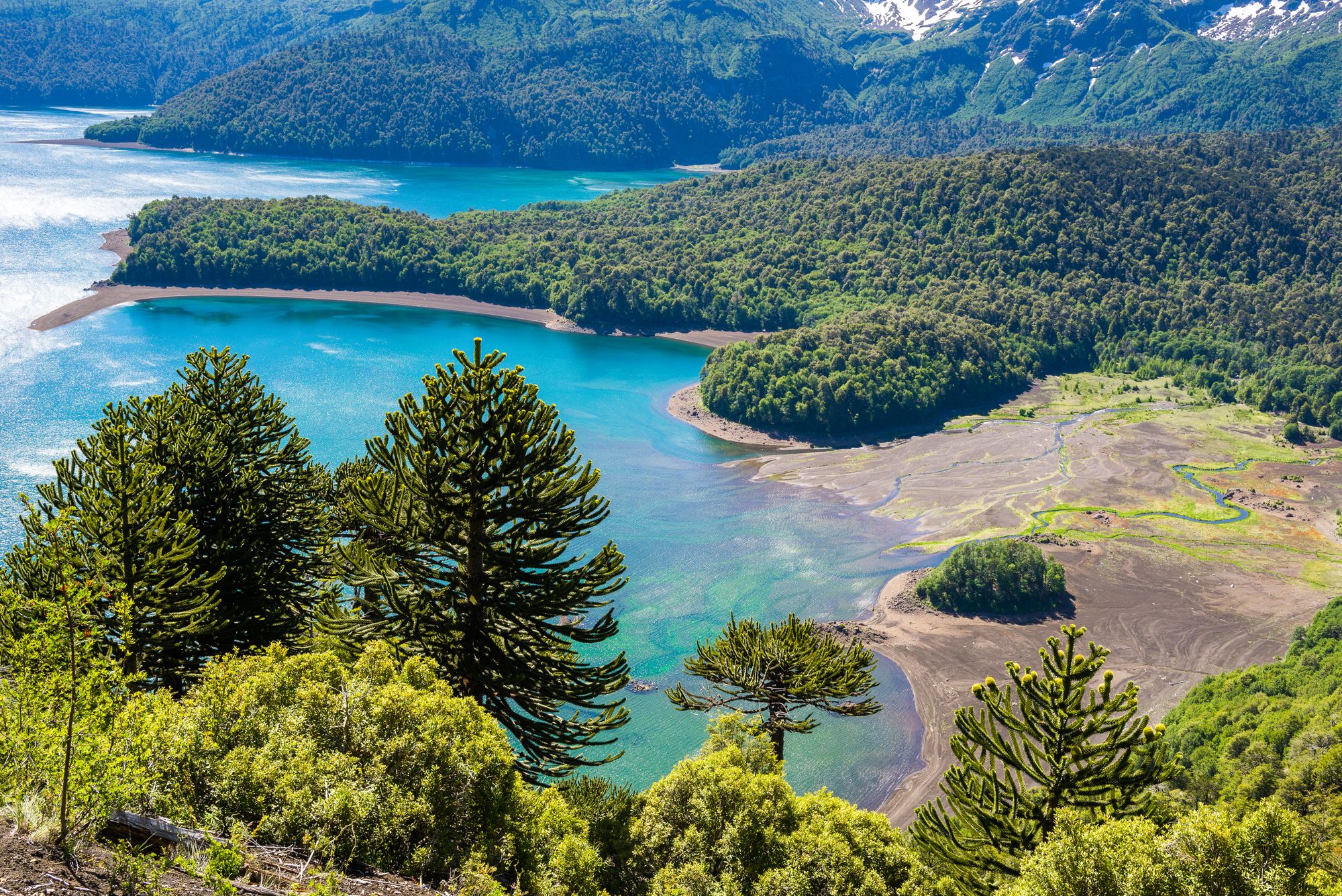Conguillio Chile Conguill o National Park Chile FDPT