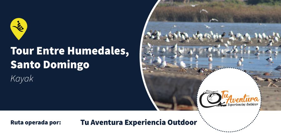 Newsletter_Diciembre_Guias_Humedales