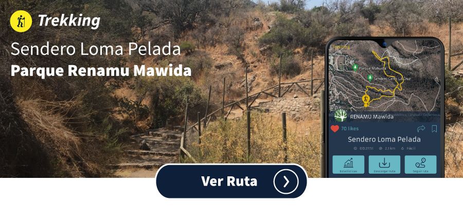 Newsletter_Diciembre_Rutas_Lomapelada