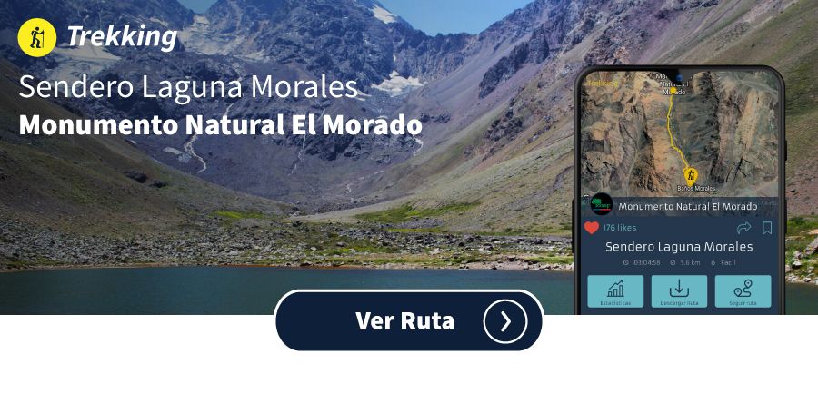 Newsletter_Diciembre_Rutas_Morales