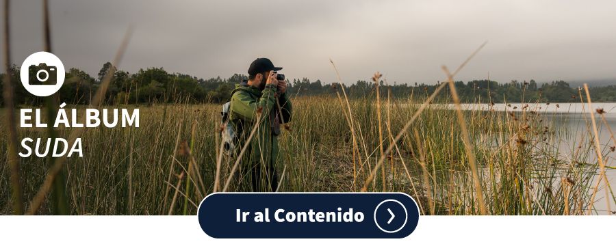 2022_Newsletter_Abril_Portada_Links_ALBUM--1-
