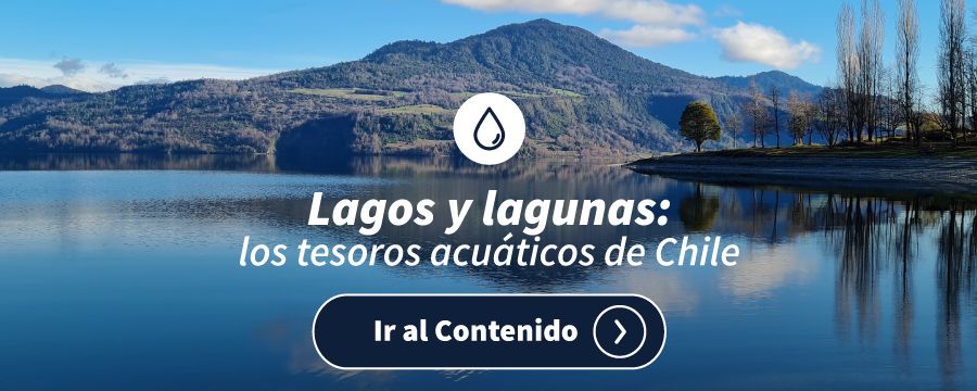 2022_Newsletter_Abril_Portada_Links_INTRO_OK--1-