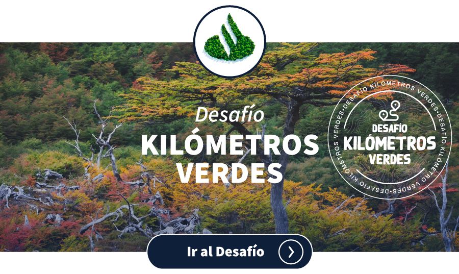 2022_Newsletter_Junio_Desafios_SANTANDER--1-