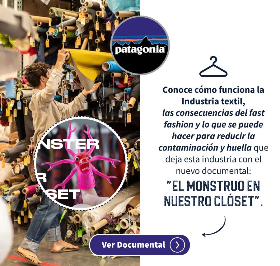 2022_Newsletter_Junio_Partner_PATAGONIA--1-