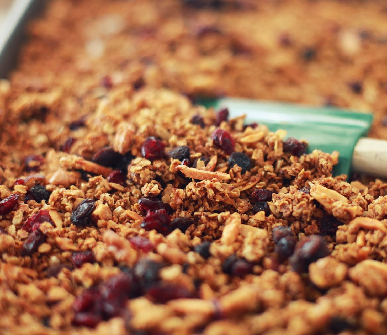 Granola10
