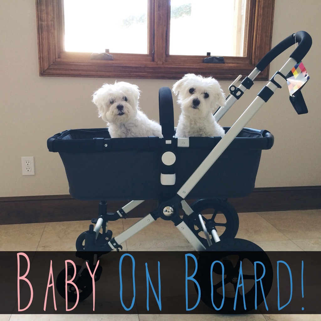 Pregnancy Announcement