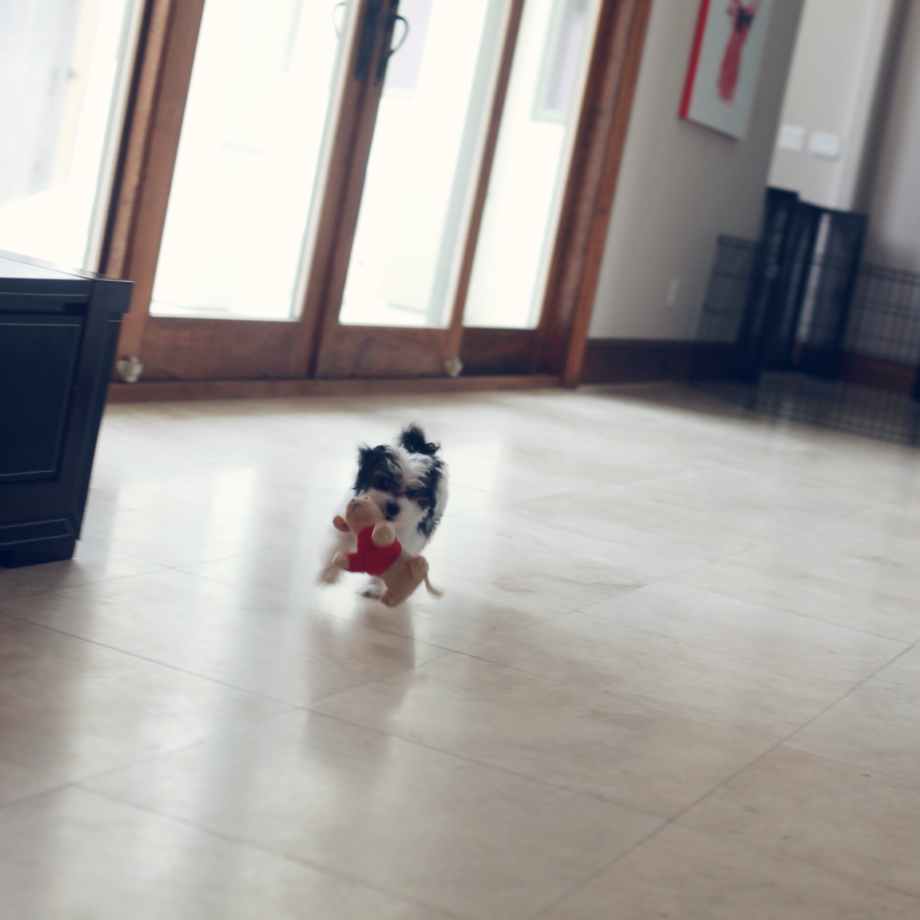 photo 4(1)