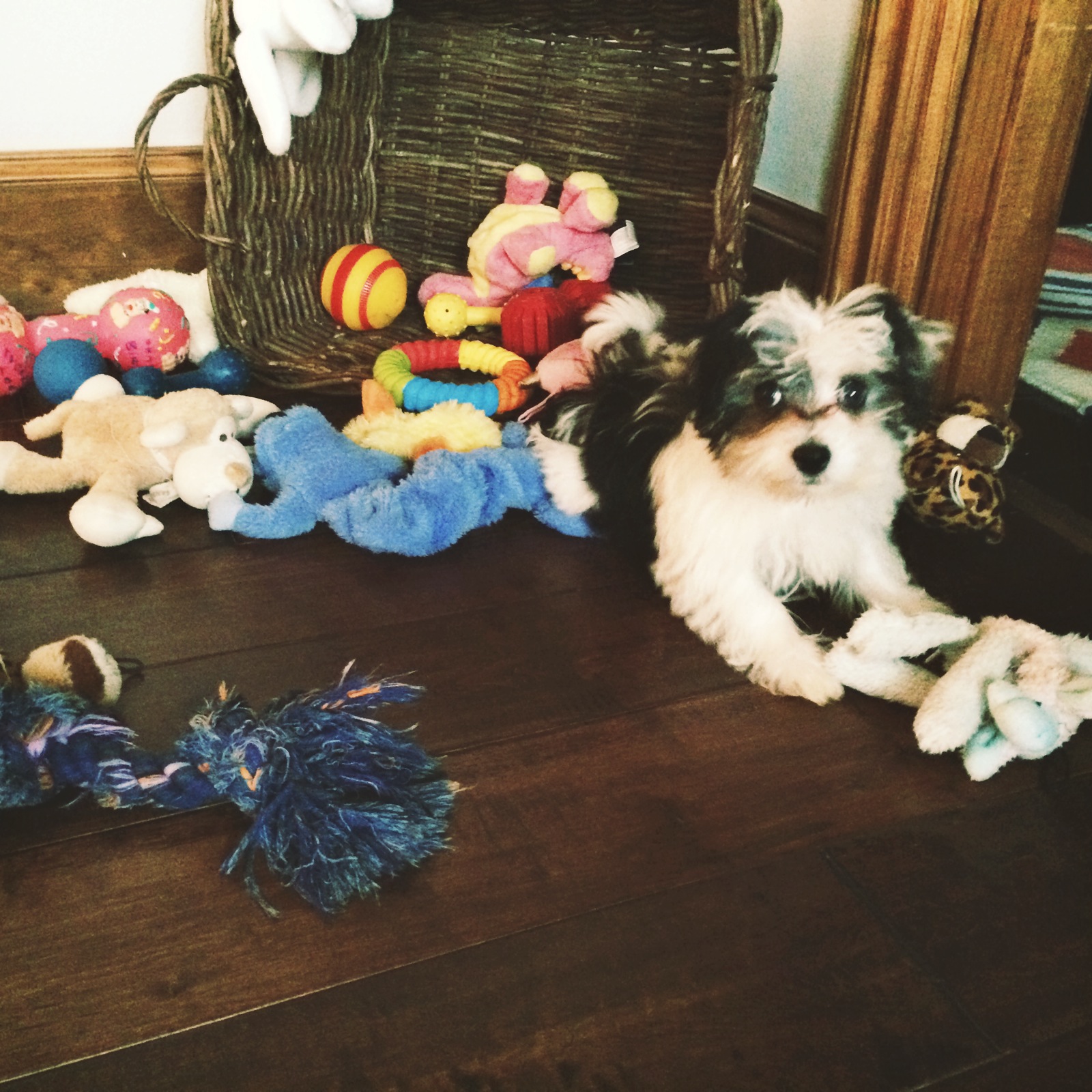 photo(2)