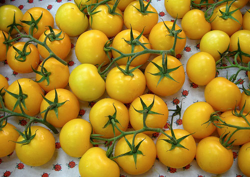 Healthy & Delicious: Yellow Tomato Soup, Three Ways Recipe