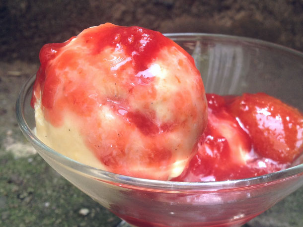 Toasted Vanilla Ice Cream with Roasted Plums Recipe