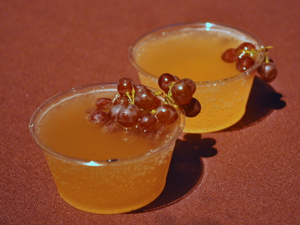 Turtle Island Recipe