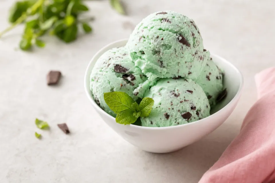 Mint Chocolate Chip Ice Cream