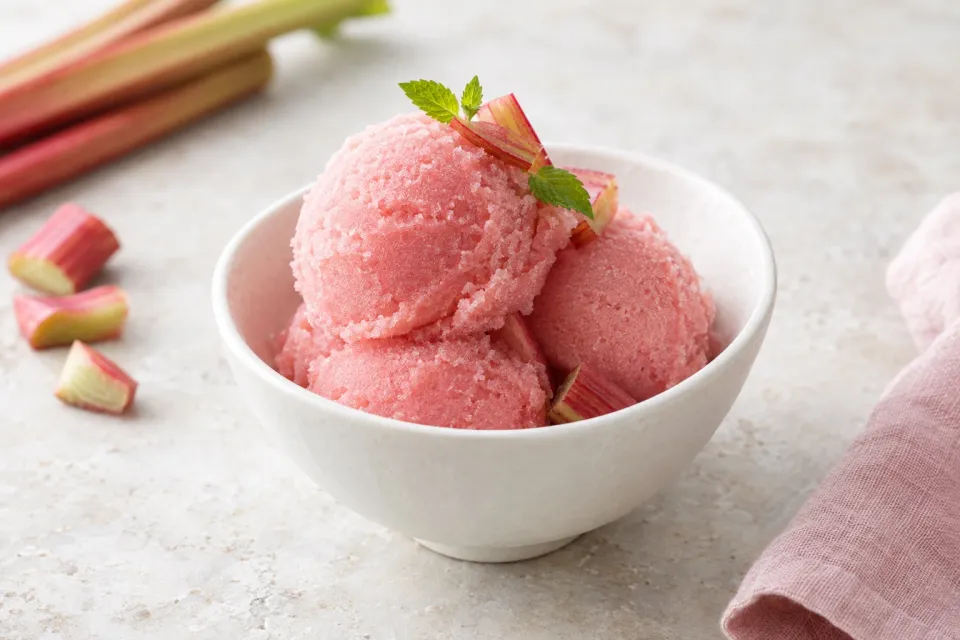 Rhubarb Sorbet