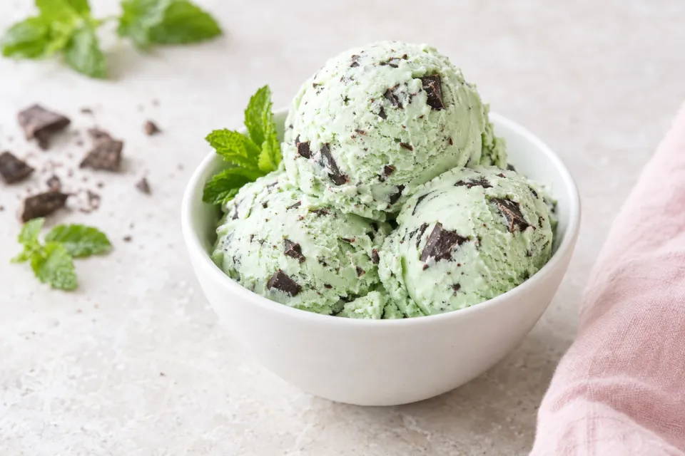 Vegan Mint Chocolate Chip Ice Cream