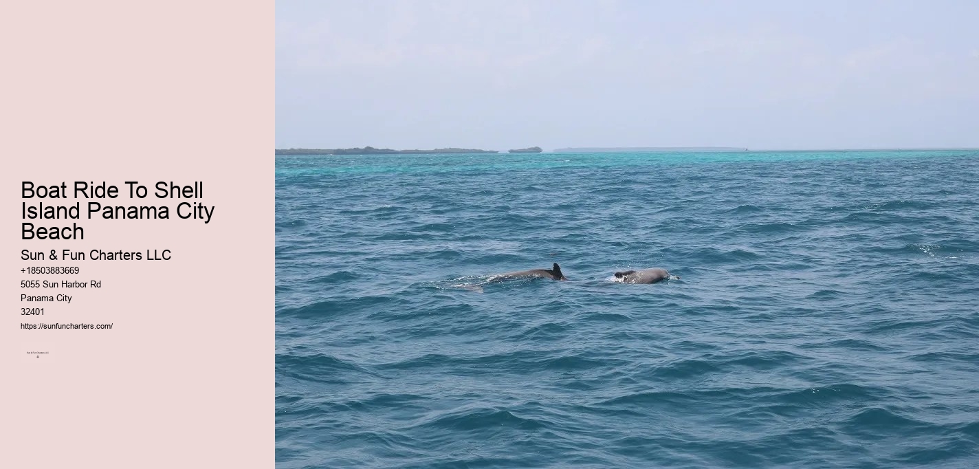 Swim With Dolphins Panama City Beach Shell Island