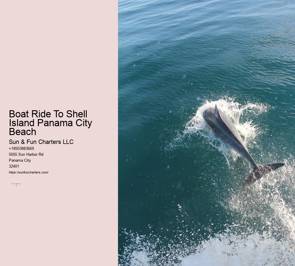 Shell Island Dolphin Tours Panama City Beach