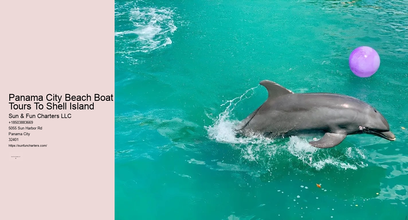 Shell Island Snorkeling Panama City Beach