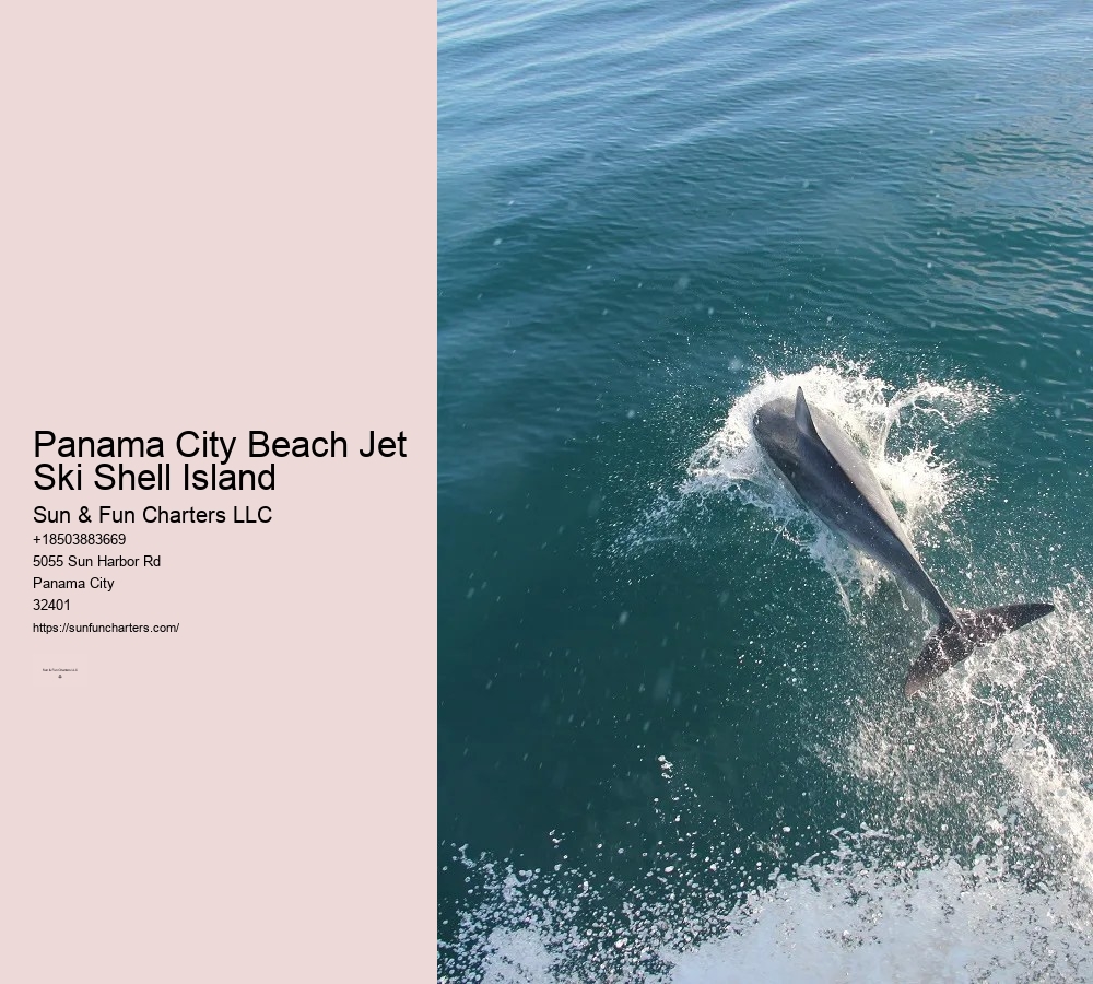 Panama City Beach Jet Ski Shell Island