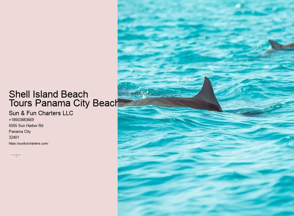 Pcb Shell Island Tours