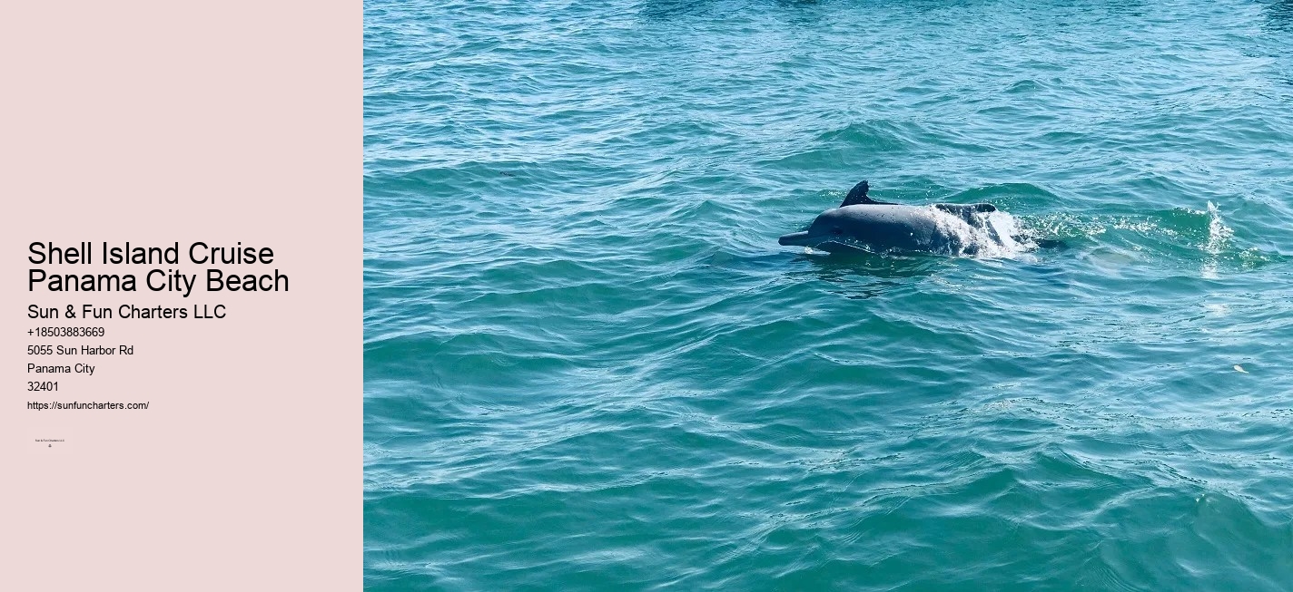 Panama City Beach Jet Ski Shell Island