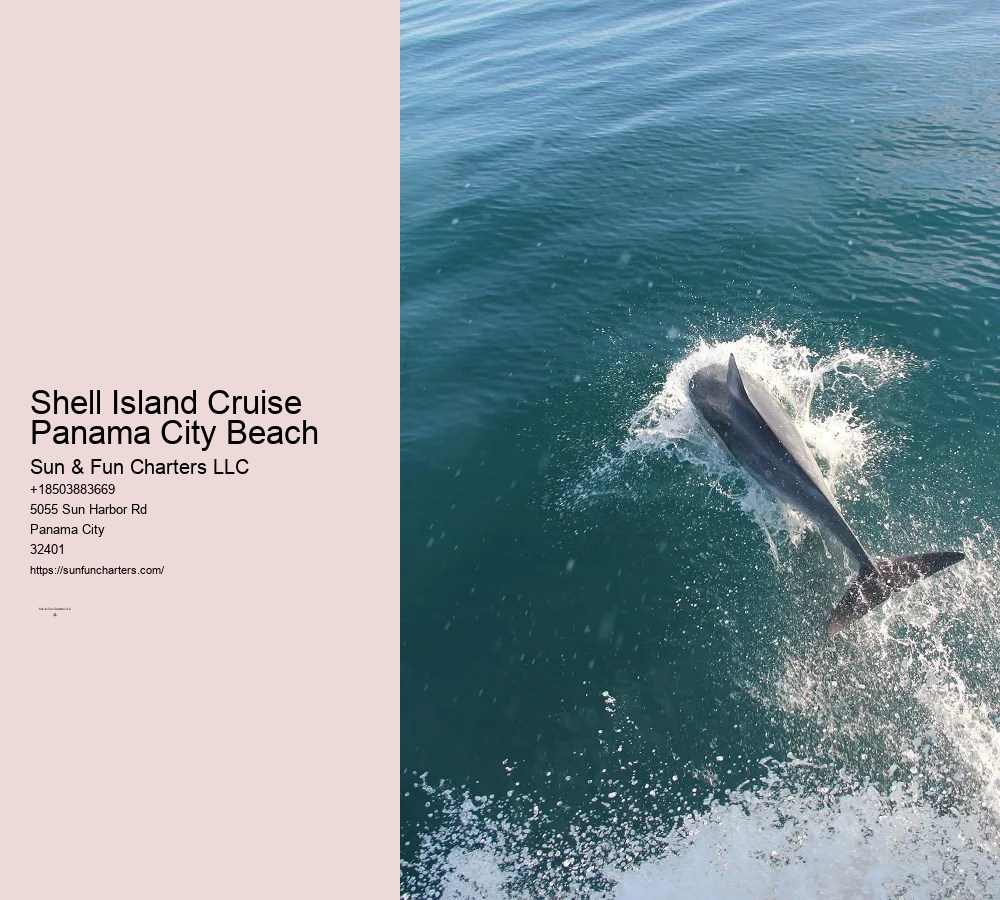 Shell Island Snorkeling Panama City Beach