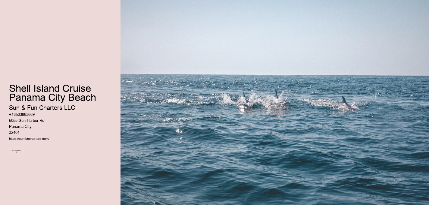 Shell Island Tours Panama City Beach