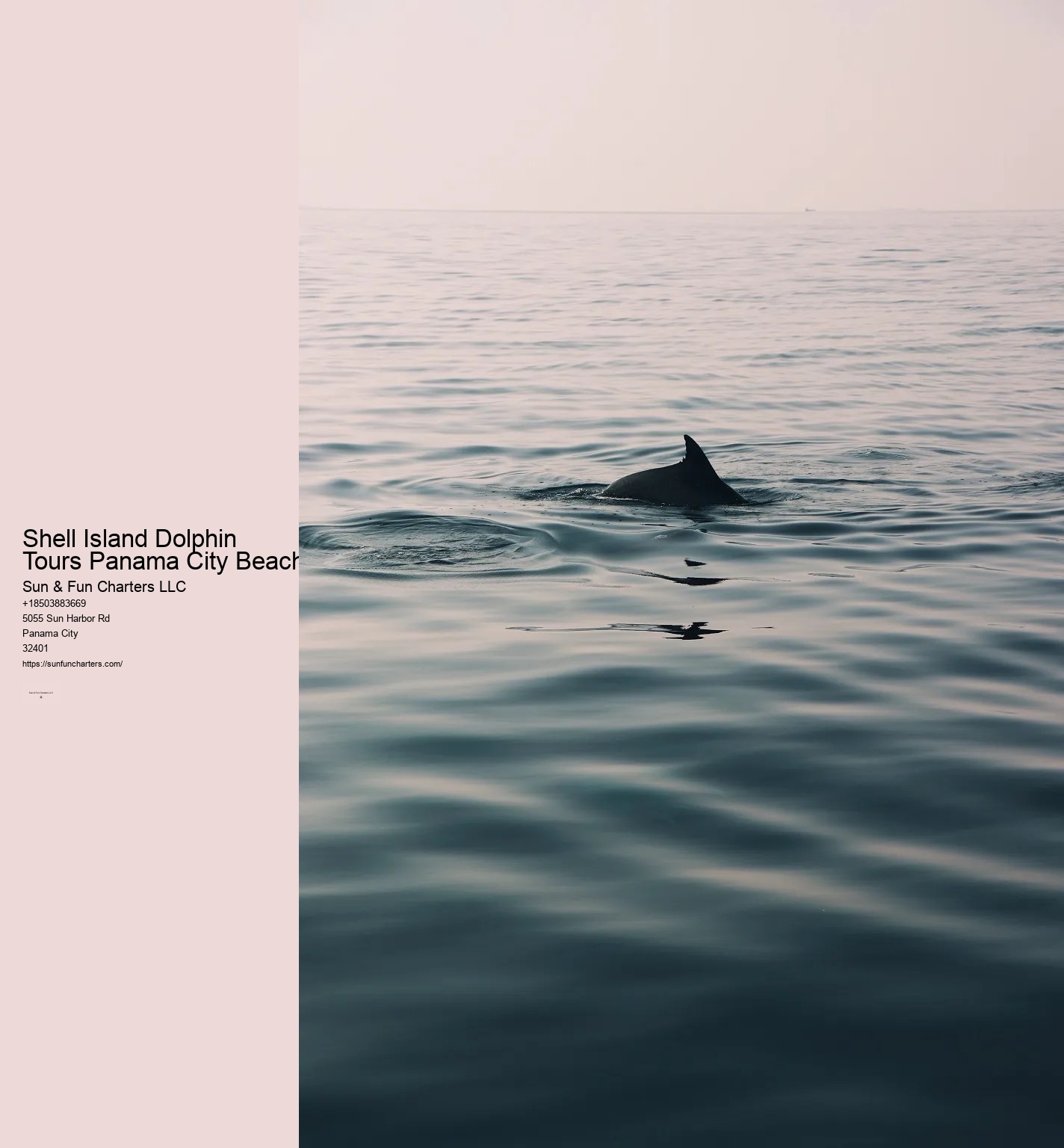 Shell Island Cruise Panama City Beach