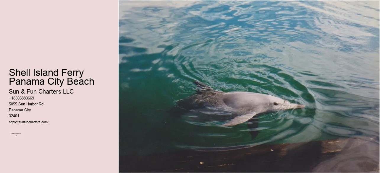 Pcb Shell Island Tours