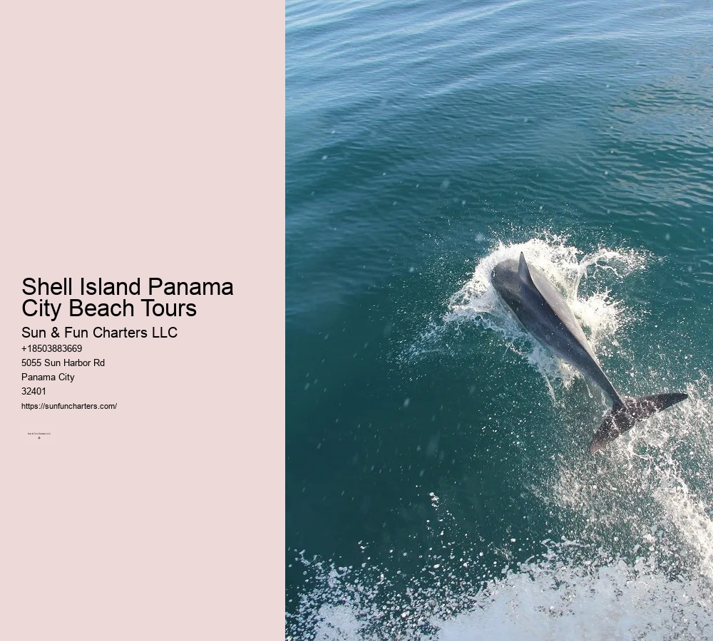 Panama City Beach Jet Ski Shell Island